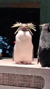 AOAO SAPPOROに投稿された画像（2023/10/15）