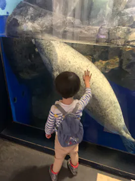 マクセル アクアパーク品川に投稿された画像（2023/10/15）