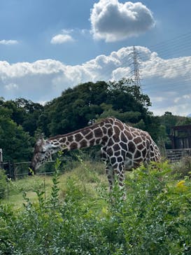 到津の森公園に投稿された画像（2023/10/15）