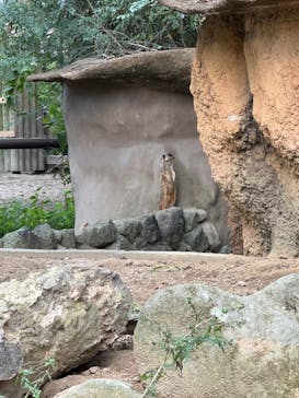 到津の森公園に投稿された画像（2023/10/15）