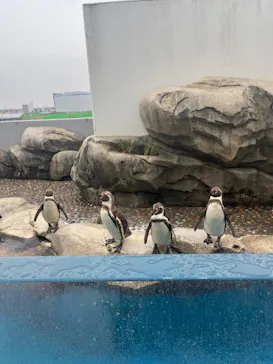 仙台うみの杜水族館に投稿された画像（2023/10/15）