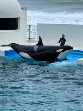 鴨川シーワールドに投稿された画像（2023/10/15）