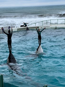 鴨川シーワールドに投稿された画像（2023/10/15）