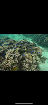 武藤潜水に投稿された画像（2023/10/15）