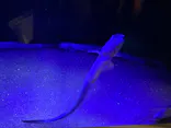 サンシャイン水族館に投稿された画像（2023/10/15）