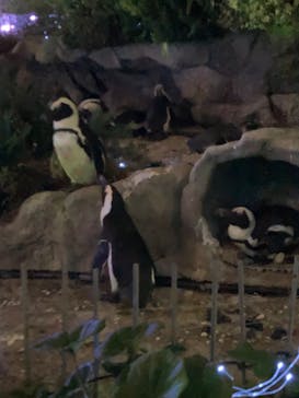 サンシャイン水族館に投稿された画像（2023/10/15）