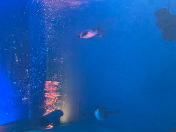 サンシャイン水族館に投稿された画像（2023/10/15）