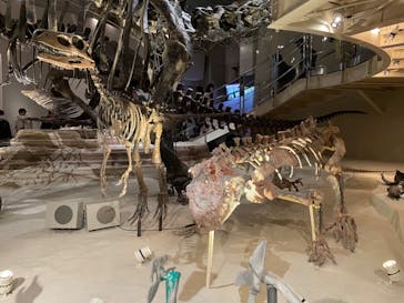 国立科学博物館に投稿された画像（2023/10/15）