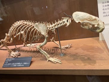 国立科学博物館に投稿された画像（2023/10/15）