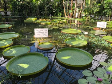 熱川バナナワニ園に投稿された画像（2023/10/15）