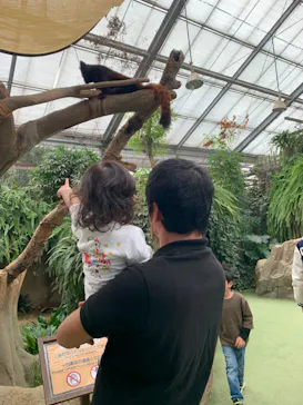 神戸どうぶつ王国に投稿された画像（2023/10/15）