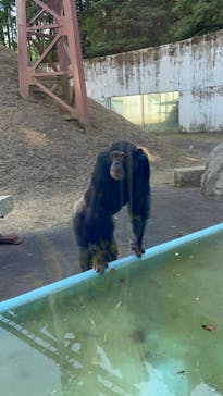 阿蘇カドリー・ドミニオンに投稿された画像（2023/10/15）