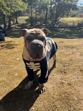 阿蘇カドリー・ドミニオンに投稿された画像（2023/10/15）