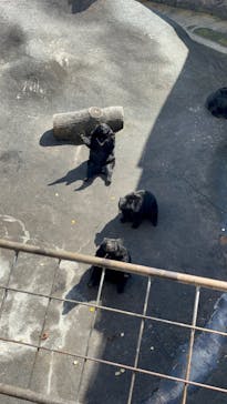 阿蘇カドリー・ドミニオンに投稿された画像（2023/10/15）