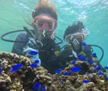 武藤潜水に投稿された画像（2023/10/15）