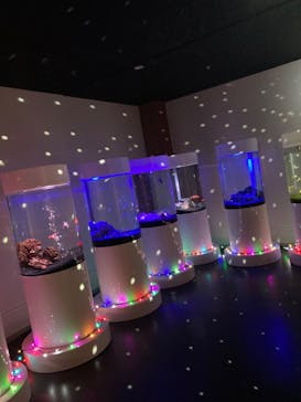 NARA KINGYO MUSEUMに投稿された画像（2023/10/15）