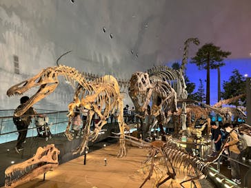 福井県立恐竜博物館に投稿された画像（2023/10/15）