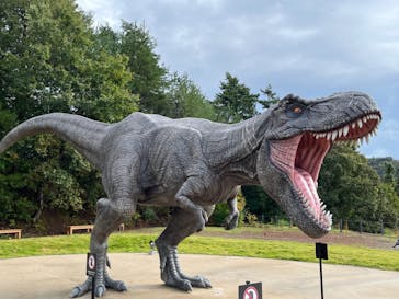 福井県立恐竜博物館に投稿された画像（2023/10/15）