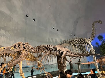 福井県立恐竜博物館に投稿された画像（2023/10/15）