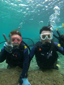 武藤潜水に投稿された画像（2023/10/15）