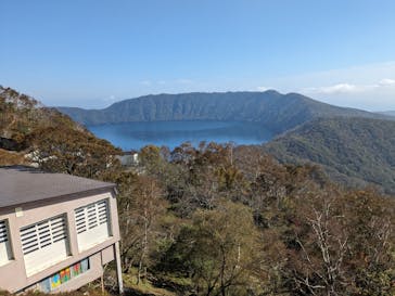 のぼりべつクマ牧場に投稿された画像（2023/10/15）