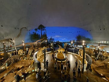 福井県立恐竜博物館に投稿された画像（2023/10/15）