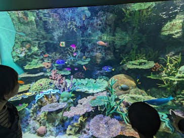 サンシャイン水族館に投稿された画像（2023/10/15）