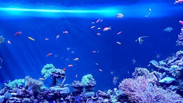 サンシャイン水族館に投稿された画像（2023/10/15）