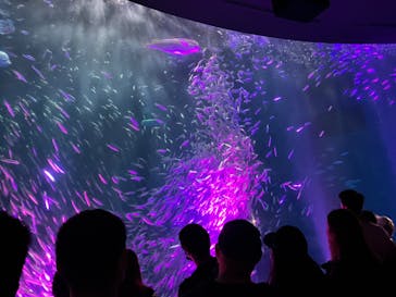 名古屋港水族館に投稿された画像（2023/10/15）