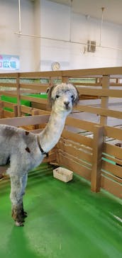 Moff animal world BIGHOPガーデンモール印西店に投稿された画像（2023/10/15）