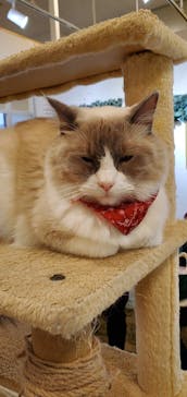 Moff animal world BIGHOPガーデンモール印西店に投稿された画像（2023/10/15）