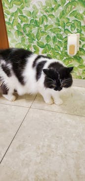 Moff animal world BIGHOPガーデンモール印西店に投稿された画像（2023/10/15）