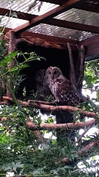 環境水族館アクアマリンふくしまに投稿された画像（2023/10/15）