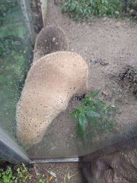 環境水族館アクアマリンふくしまに投稿された画像（2023/10/15）