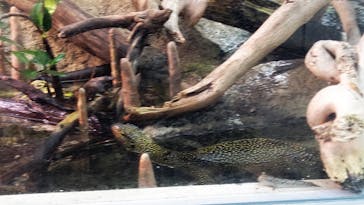 環境水族館アクアマリンふくしまに投稿された画像（2023/10/15）