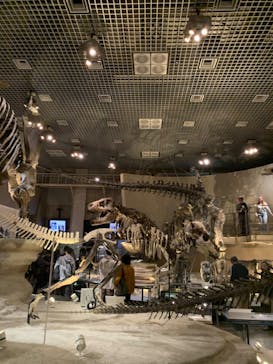 国立科学博物館に投稿された画像（2023/10/15）