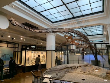 国立科学博物館に投稿された画像（2023/10/15）