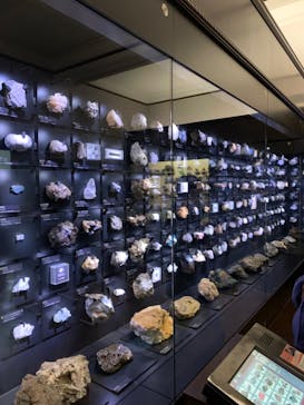 国立科学博物館に投稿された画像（2023/10/15）