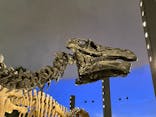 福井県立恐竜博物館に投稿された画像（2023/10/15）
