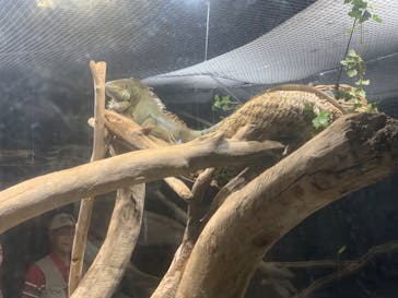 カワスイ 川崎⽔族館に投稿された画像（2023/10/15）