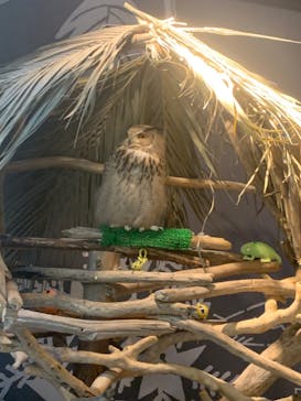 カワスイ 川崎⽔族館に投稿された画像（2023/10/15）