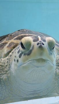 マリンワールド海の中道に投稿された画像（2023/10/15）