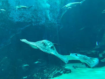 マリンワールド海の中道に投稿された画像（2023/10/15）