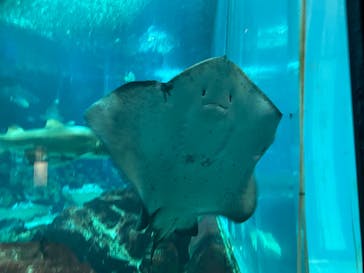 マリンワールド海の中道に投稿された画像（2023/10/15）