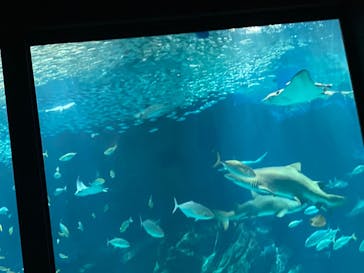 マリンワールド海の中道に投稿された画像（2023/10/15）