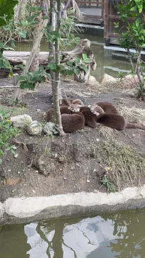 神戸どうぶつ王国に投稿された画像（2023/10/15）