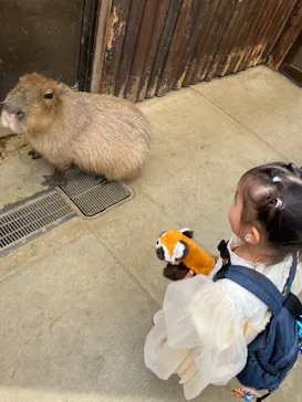神戸どうぶつ王国に投稿された画像（2023/10/15）