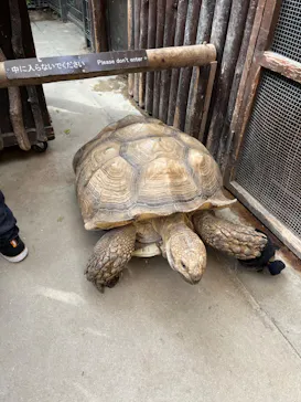 神戸どうぶつ王国に投稿された画像（2023/10/15）