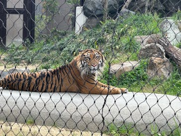 名古屋市東山動植物園に投稿された画像（2023/10/15）
