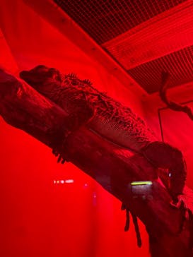 サンシャイン水族館に投稿された画像（2023/10/15）